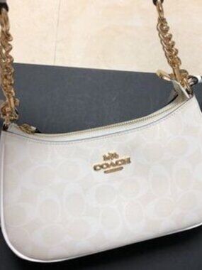Coach Teri Shoulder Bag In Signature Canvas